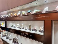 -陕西自然博物馆