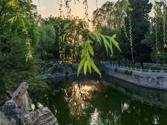 -莲池书院博物馆