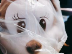 -醉得意·山茶油炒土鸡(莆田仙游方圆荟店)