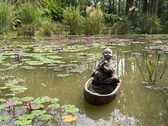 -中国科学院西双版纳热带植物园