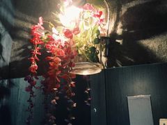 -范设计花园餐酒咖·中西餐·咖啡厅·酒馆