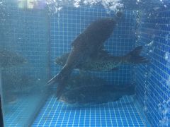 -川流不息·地道川菜·小龙虾(新松江路店)