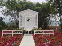 -东南花都花博园