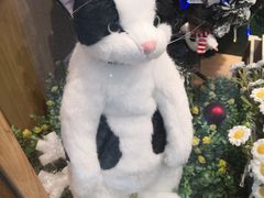 -田记餐馆(富国街店)