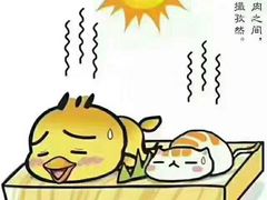 -徐妹串串香(春熙路店)