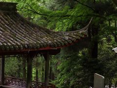 -莫干山风景区