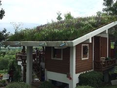 -黄色小屋