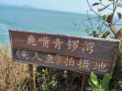 -杨梅坑