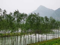 -永定河休闲森林公园