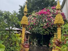 -品德宏·孔雀宴的发源地(金塔园店)