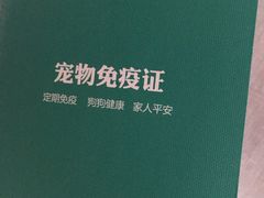 -艾吉宠物医院·疑难杂症转诊中心·猫友好(碧江路院)