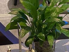 -晋江荣誉国际酒店·港誉茶餐厅