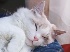 -榴芒先森生日蛋糕甜品台定制(1店诚信大道店)