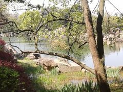-白马涧龙池景区