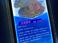 -多彩贵州城极地海洋世界