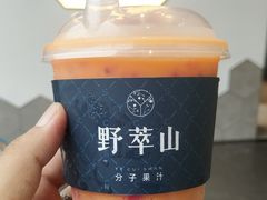 -野萃山·潮汕厚果汁(十亩地店)