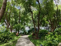 -北外滩滨江绿地