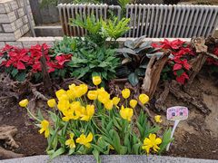 -石家庄市植物园