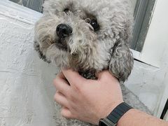 -暖阳宠物医院·犬猫康复中心·骨科