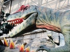 -国家自然博物馆