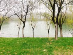 -天鹅湖体育公园