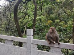 -黔灵山公园