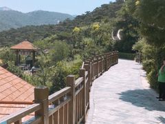 -徂徕山森林康养度假谷温泉