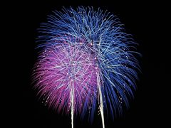 -翼丰日语·日本留学·移民服务中心(宝安校区)