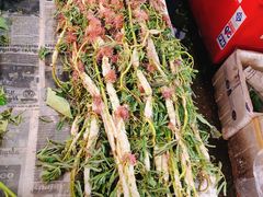 -瓦洛洛传统市场