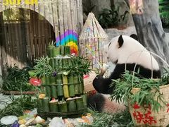 -灵玲国际马戏城