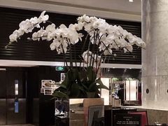 大堂-上海锦江汤臣洲际大酒店壹阶层