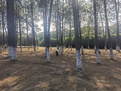 -艾溪湖湿地公园