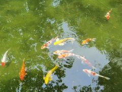 -广富林宰相府酒店·水云间