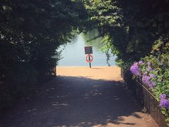 -海德公园