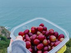 -西涌国际滨海旅游区