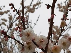 -鹫峰国家森林公园