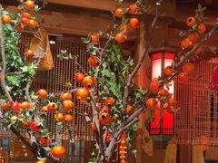 -情满四合院•京菜•烤鸭(动物园店)