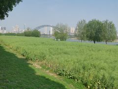 -汉江湾体育公园