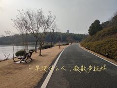 -宜兴龙背山森林公园
