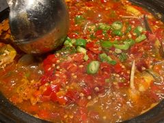 -红辣椒·川菜·火锅(张杨路店)