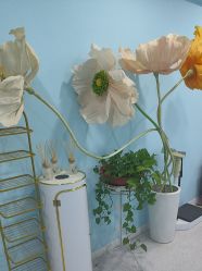 -斐尔国际皮肤管理中心