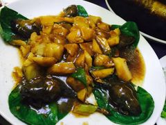 老白肉馆-老白肉馆(临江小区店)