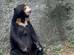 -杭州野生动物世界