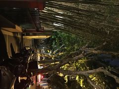 iphone_upload_pic-花马天堂云南餐厅 Lost Heaven(高邮路店)