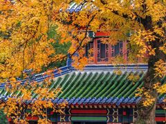 -灵谷景区