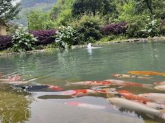 -重庆神龙峡漂流