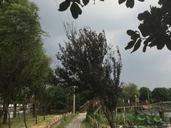 -渔娘蟹庄(阳澄湖莲花岛店)