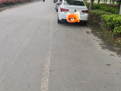 -漕湖湿地公园