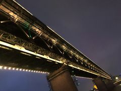 -武汉两江游览·夜游长江(汉口粤汉码头)