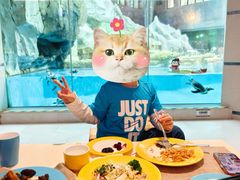 -帝企鹅自助餐厅•儿童岛•真企鹅(长隆企鹅酒店)